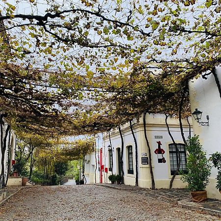 Atico Sonnenschein Daire Jerez de la Frontera Dış mekan fotoğraf