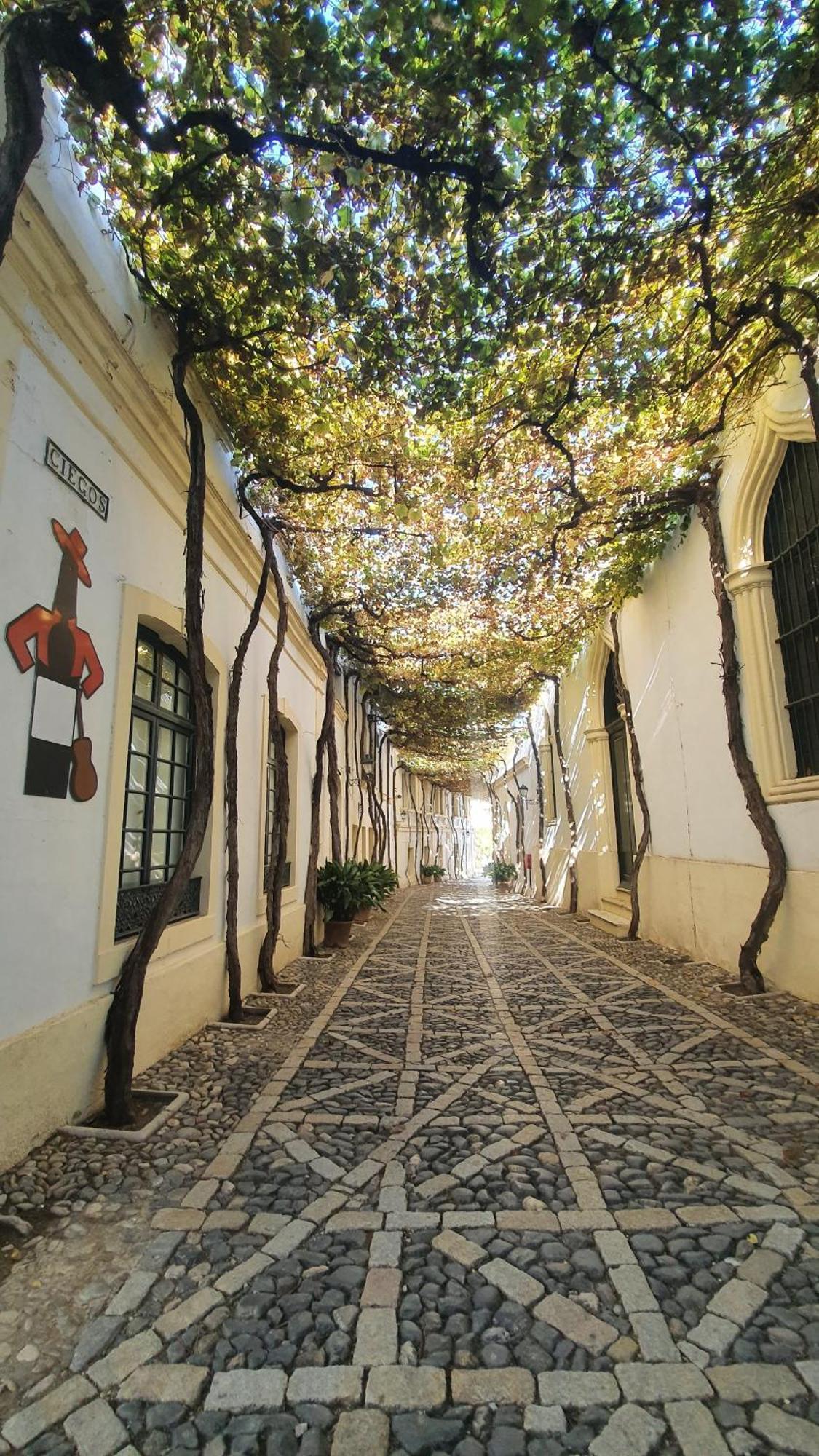 Atico Sonnenschein Daire Jerez de la Frontera Dış mekan fotoğraf