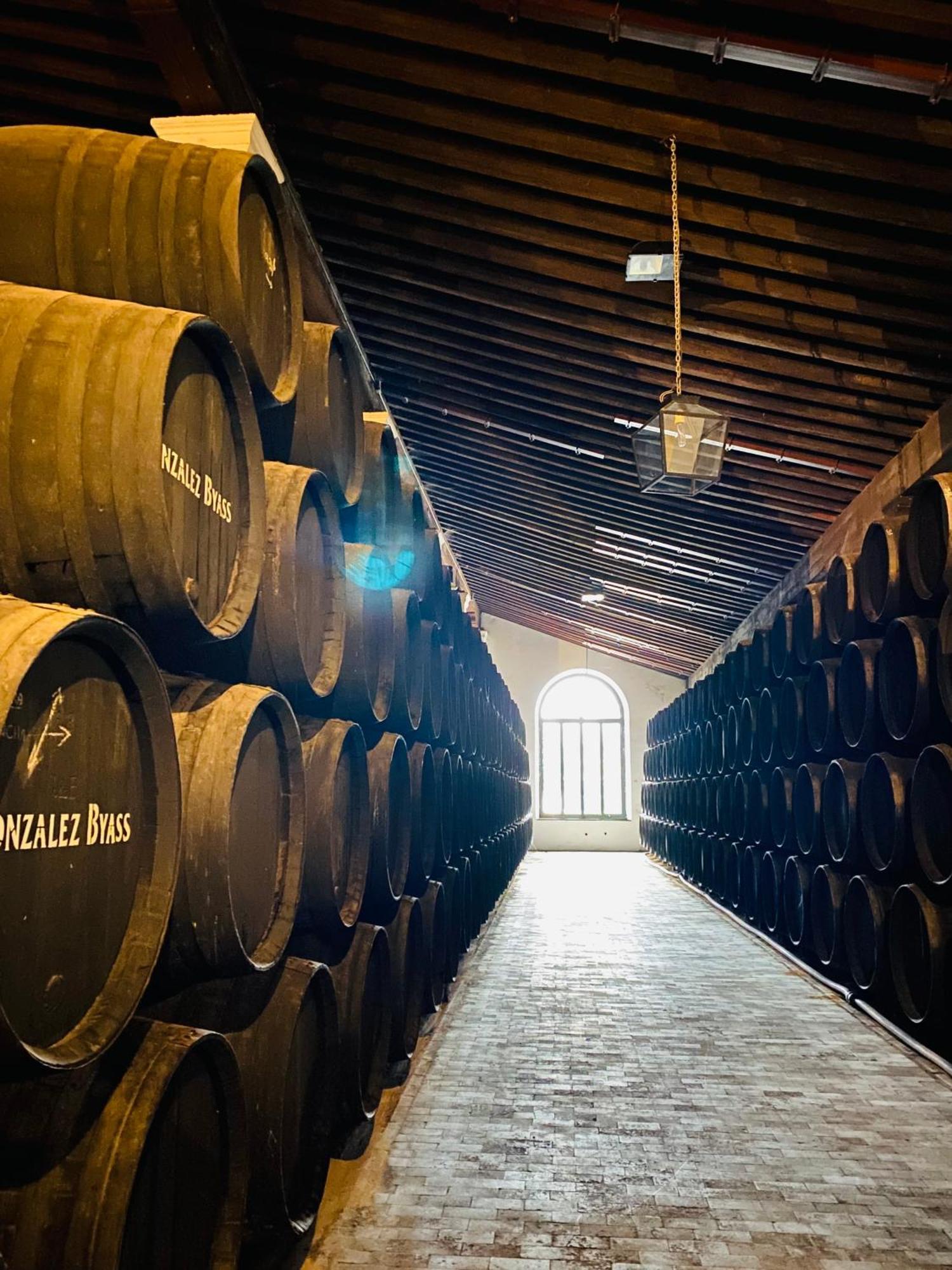 Atico Sonnenschein Daire Jerez de la Frontera Dış mekan fotoğraf