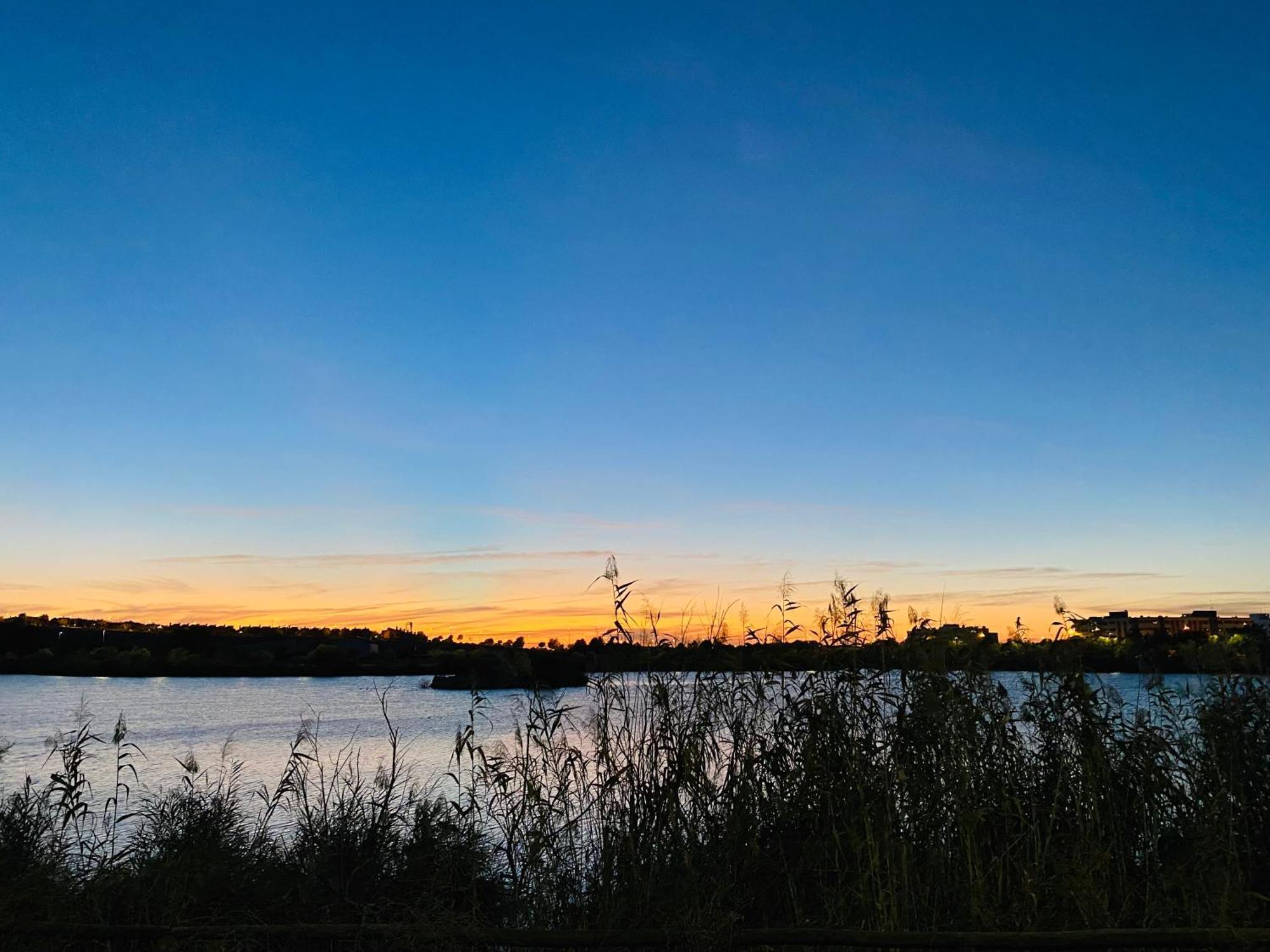 Atico Sonnenschein Daire Jerez de la Frontera Dış mekan fotoğraf